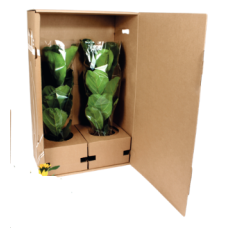 Shipping Box 65cm Double Mix&Match